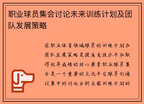 职业球员集会讨论未来训练计划及团队发展策略